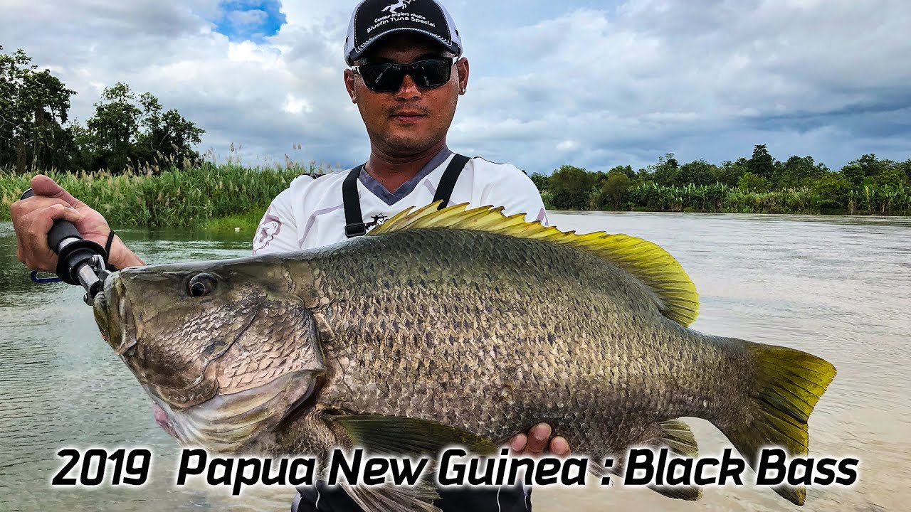 2019 Cenaur Papua New Guinea Fishing Trip Challenge King of river :Black  Bass 