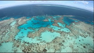 What do you see on a Great Barrier Reef helicopter ride over Moore Reef? — featuring WheresDarren