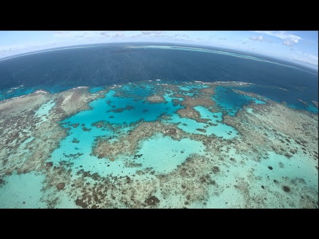 Great Barrier Reef Austrailia Helicopter Ride over Moore Reef 2025 — WheresDarren (video thumbnail)