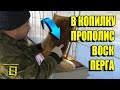 ОЧИСТКА И СОРТИРОВКА ПЧЕЛИНЫХ РАМОК. СБОР ПРОПОЛИСА, ПЕРГИ И ВОСКА. ПАСЕКА ЗИМОЙ 1 ДЛЯ НАЧИНАЮЩИХ