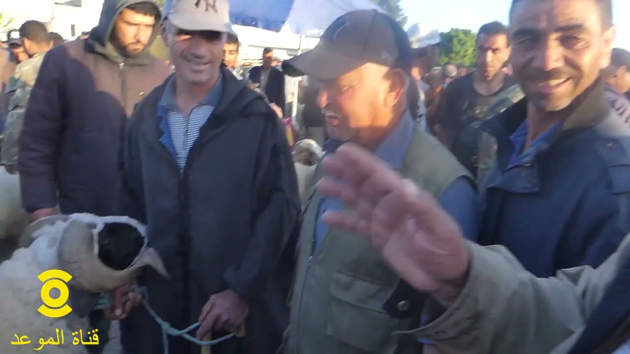 جولة في رحبة السعي بمدينة الجديدة ، العلوش ب 800 دينار قبل أيام قليلة من العيد