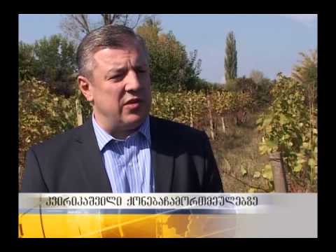 ეკონომიკის მინისტრი ტვ3-ის ეთერით გაკეთებულ განცხადებებს ეხმაურება