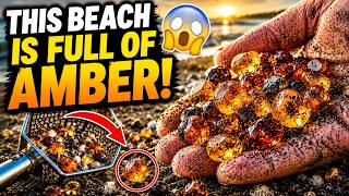 THIS BEACH IS FULL OF AMBER! 😱