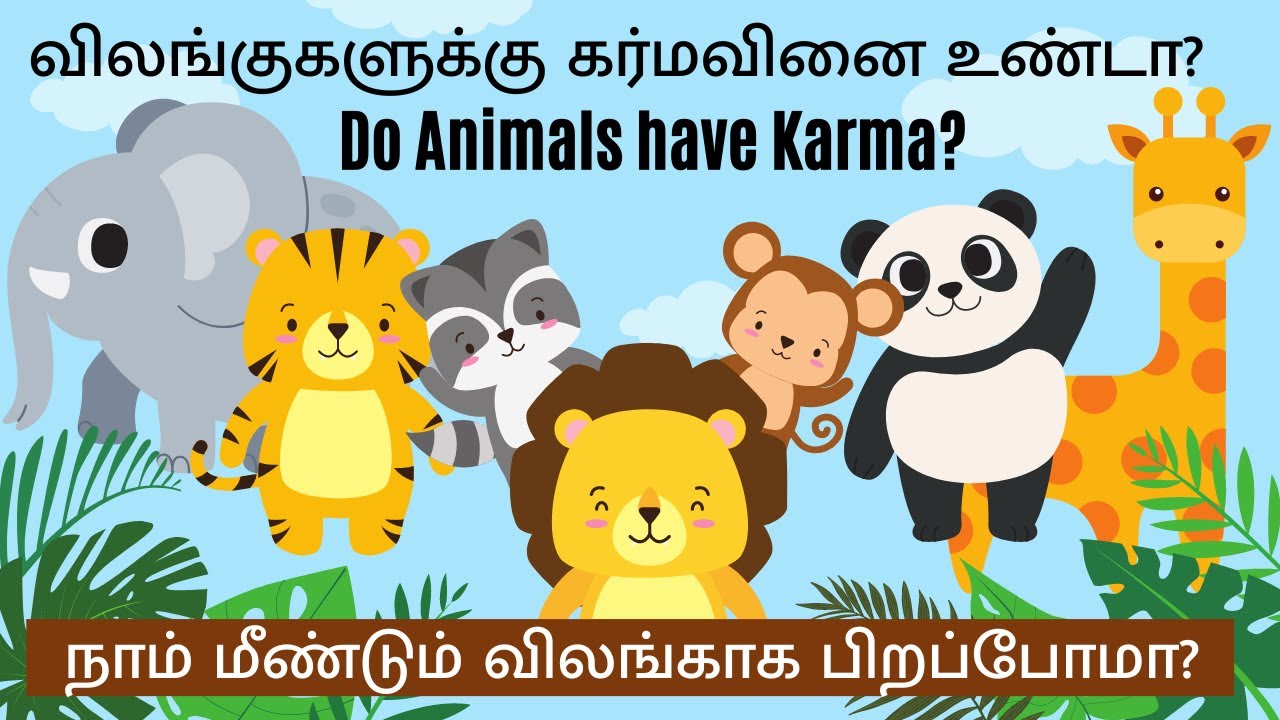 Do Animals Have Karma Karma And Do Animals Have Karma Karma And