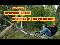 Алтай: село Лебяжье, Природа и Экологическая катастрофа у местной Эйфелевой Башни в лесу