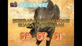 Beberapa Suara Walet Produk BAN. SP BINTANG 2