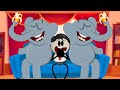 Elephant and Giraffe Quiz