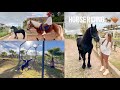 Vlog n2 breakfasthorse riding with my husband       