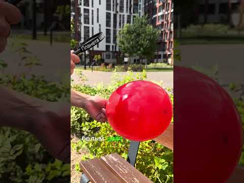 СОЛНЦЕ И ШАРЫ #воздушныешары #шары #balloon #шарики #творчество #ballonart #ballonart