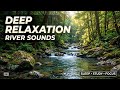 Tranquil Forest River And Waterfall 🌿 Gentle Stream For Healing And Relaxation