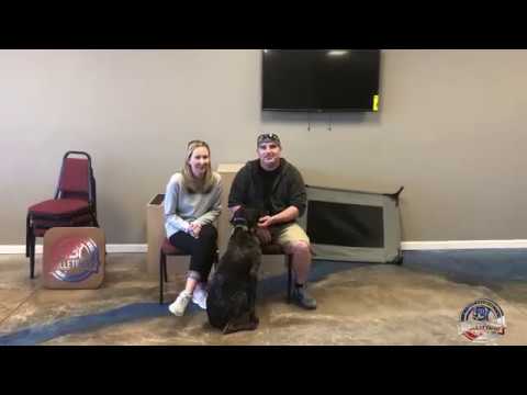 Rossi's Owners Testimonial | German Short hair Pointer |GSP puppy training crate schedule