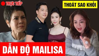 Trực Tiếp Nguyễn Phương Hằng Lên Tiếng Về Mailisa Và Nghệ Sĩ Việt Hương