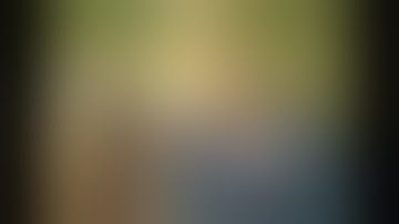 3D Video Camera System for Surgical Microscope