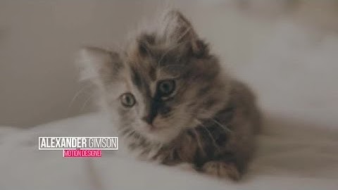 Super Lower Thirds Motion Graphics Templates