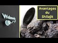 Pourquoi devriezvous ajouter le shilajit  votre routine