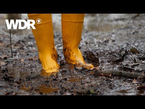 Video: Wie Man Eine Stelle In Einem Torfmoor Entwickelt