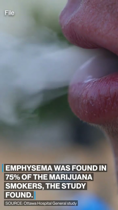 Merokok #ganja mungkin lebih berbahaya bagi paru-paru daripada merokok #rokok, menurut penelitian. #kesehatan