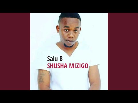 Shusha Mizigo