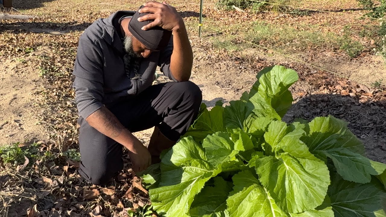 My Garden maybe Contaminated “Find out Why!!”