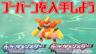 ポケモンダイパリメイク ブーバーンを入手しよう ポケットモンスター ブリリアントダイヤモンド シャイニングパール Pocket Monsters Youtube