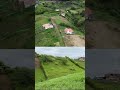 Oportunidad de Lotes campestre en Alcalá, Valle, A solo minutos de Pereira