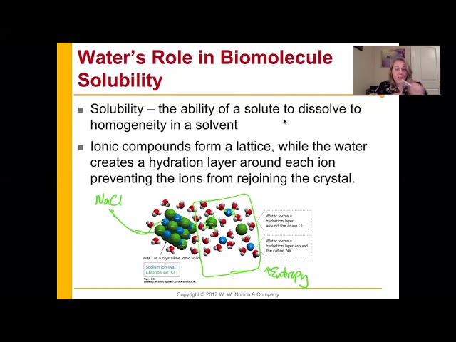 Chem 435 Ch 2 Section 2 Pre recorded Lecture