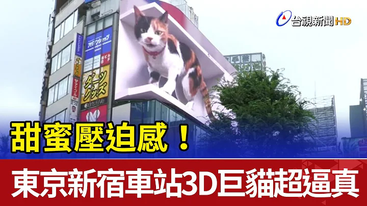 甜蜜壓迫感！東京新宿車站3D巨貓超逼真 - 天天要聞