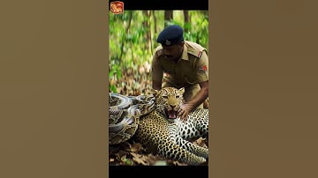 Python v/s Leopard #zoo  #wildtv #animals #ai #viral #tiger #forest #python #shorts #trending #yt#1k
