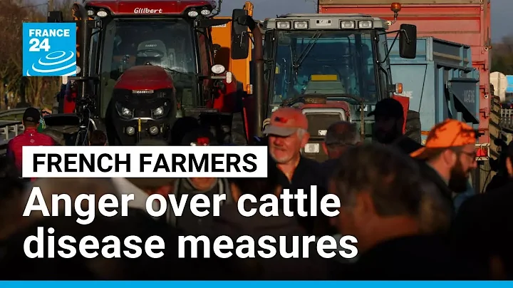 French farmers protest tough government measures to contain cattle disease outbreak • FRANCE 24