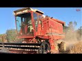INTERNATIONAL 1420 Axial-Flow Combine Harvesting Soybeans