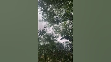 قران طبيعه #طبيعة #اكسبلور #مطر #سورة_النجم