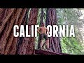 TOP 10 Things to Do in CALIFORNIA  Travel Guide - YouTube