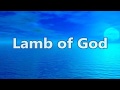 LAMB OF GOD YOU ARE HOLY (VIDEO LYRICS)