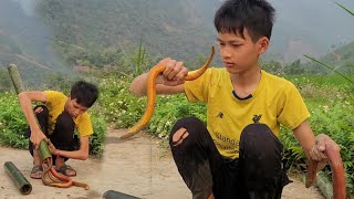 The orphan boy used a bamboo tube to catch eels and caught huge eels