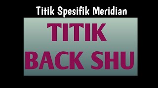 Download Lagu Titik BACK SHU *Eps-77B , Titik Spesifik Meridian MP3