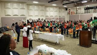 Famu Marching 100 \