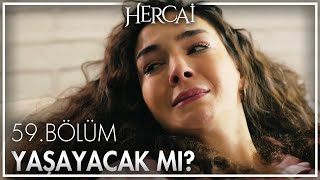 Umut yaşayacak mı? - Hercai 59. Bölüm