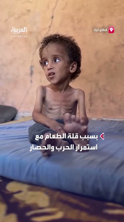               
 - نشر قبل 3 دقيقة