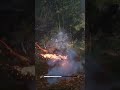 Black Myth Wukong Guangmou Boss Battle