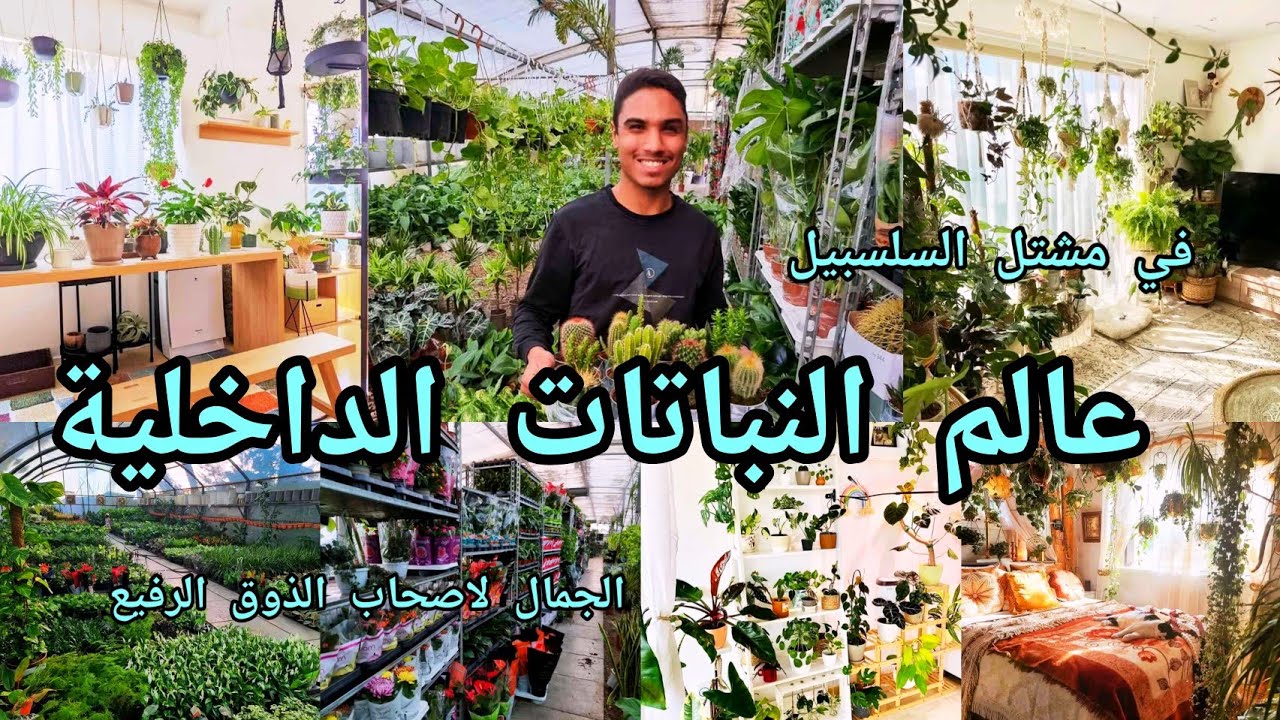 عالم النباتات الداخلية في مشتل السلسبيل العراق 🇮🇶 بغداد منطقة صدر القناة ومعلومات هامة جدا