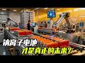 钠离子电池，才是真正的未来？ #知识前沿派对 #抖音知识年终大赏 #电池 #发明 #宁德时代