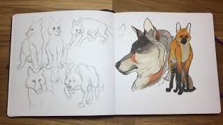 Lets Draw Wolves :D ll Draw With me EP. 4 ll Clifthefox