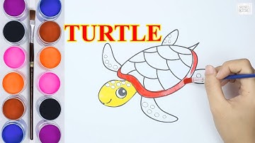 Vẽ và tô màu Con Rùa | Bé học tô màu || Drawing and coloring Turtle | Painting for kids