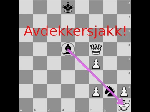AVDEKKERSJAKK