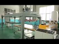 PP WPC sheet making machine for car trunk mat