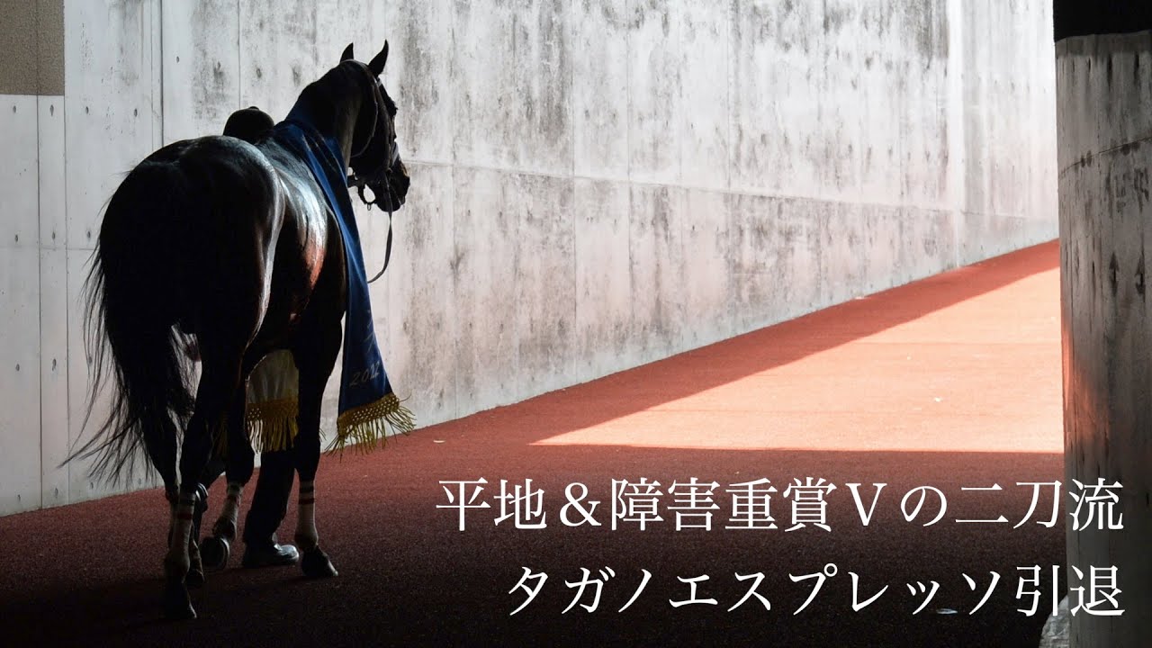 平地＆障害重賞Vの〝二刀流〟タガノエスプレッソが引退 種牡馬へ