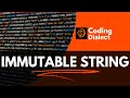 Immutable String |@CodingDialect |@H.P._Gaming |@code |#viralvideo