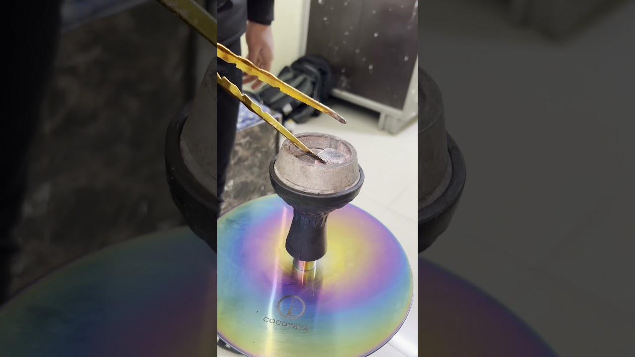 Brand New cocoyaya king series