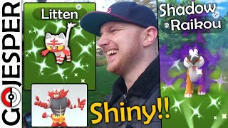 Shiny *SHADOW* Raikou!! til Litten Community Day!! (Dansk Pokémon GO)