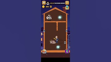 Home Pin 83 Level
